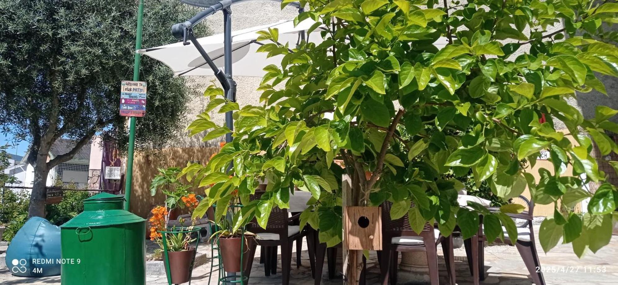 Alojamento Local Os Maias Mirandela Exteriör bild