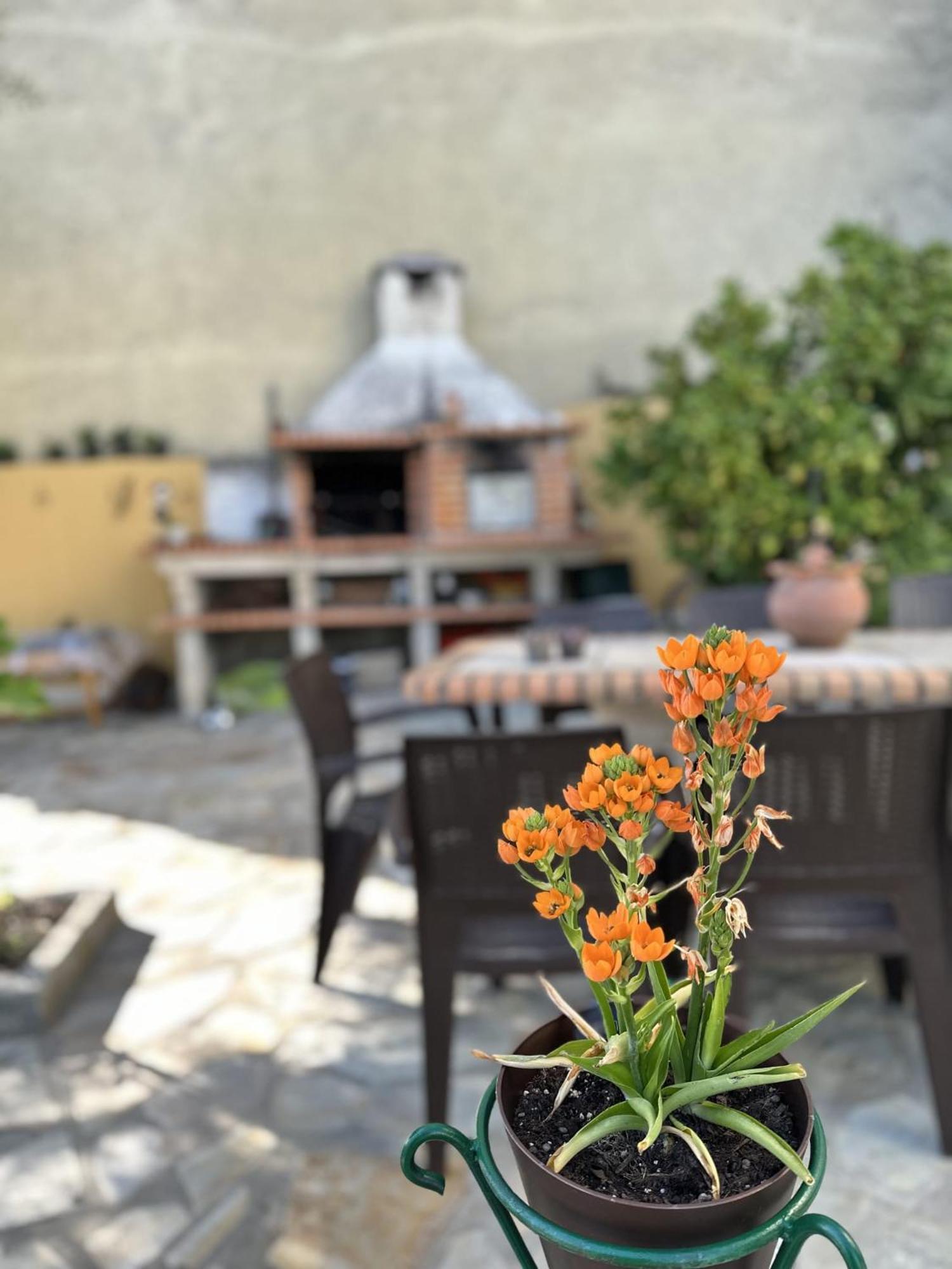 Alojamento Local Os Maias Mirandela Exteriör bild